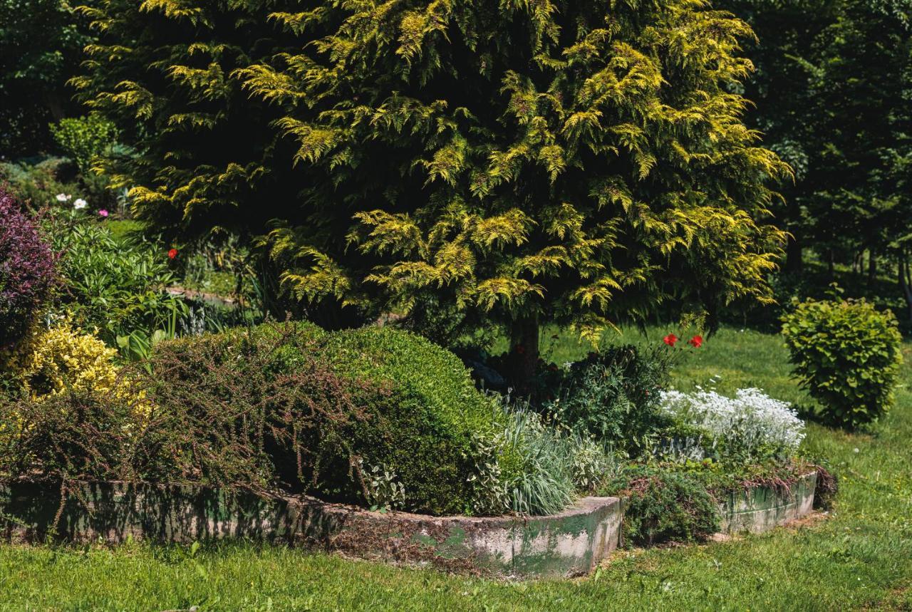 Rajski Vrt - Lake House - Paradise Garden Sisak Exterior photo
